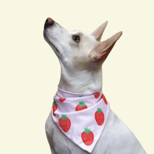 Berrylicious Bandana
