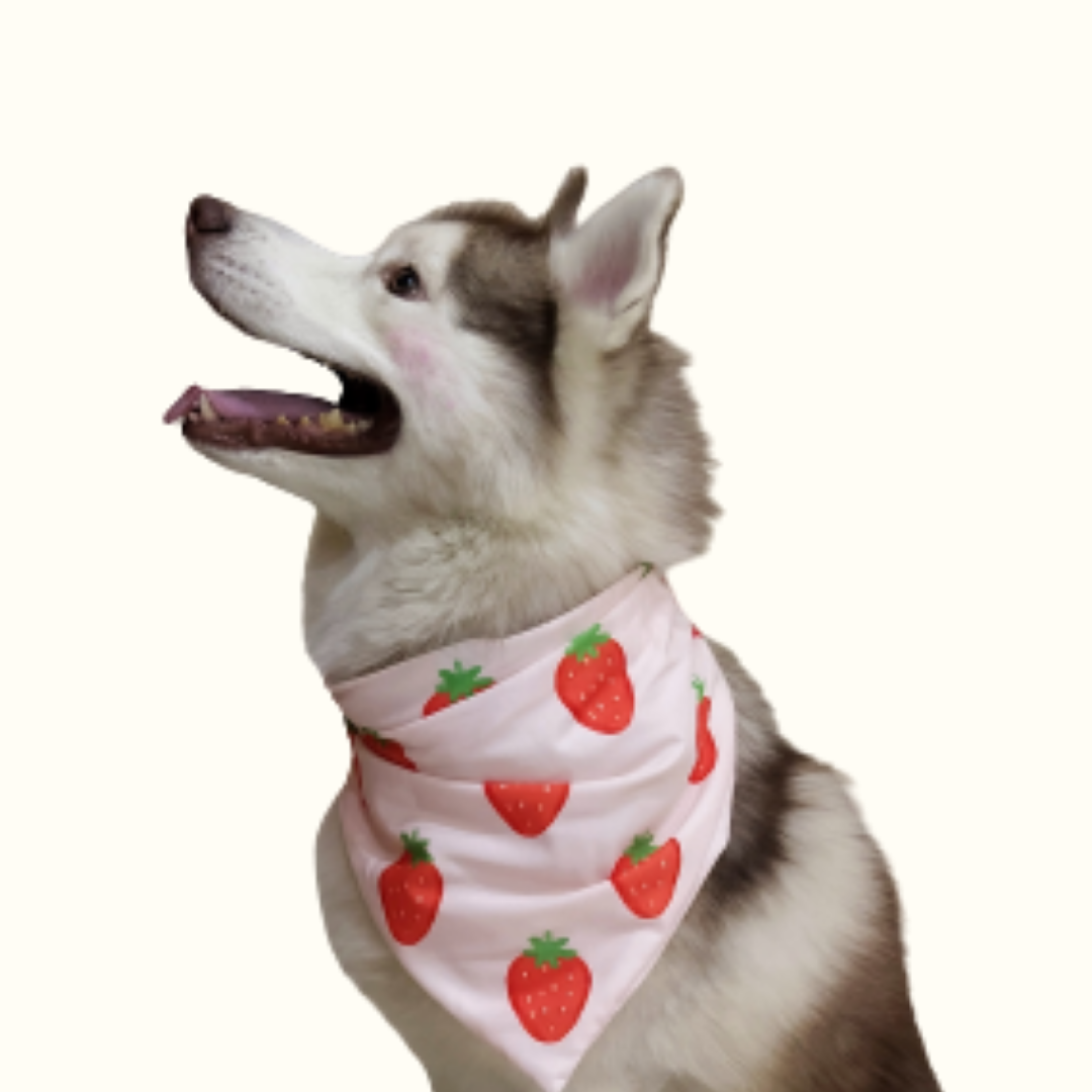 Berrylicious Bandana