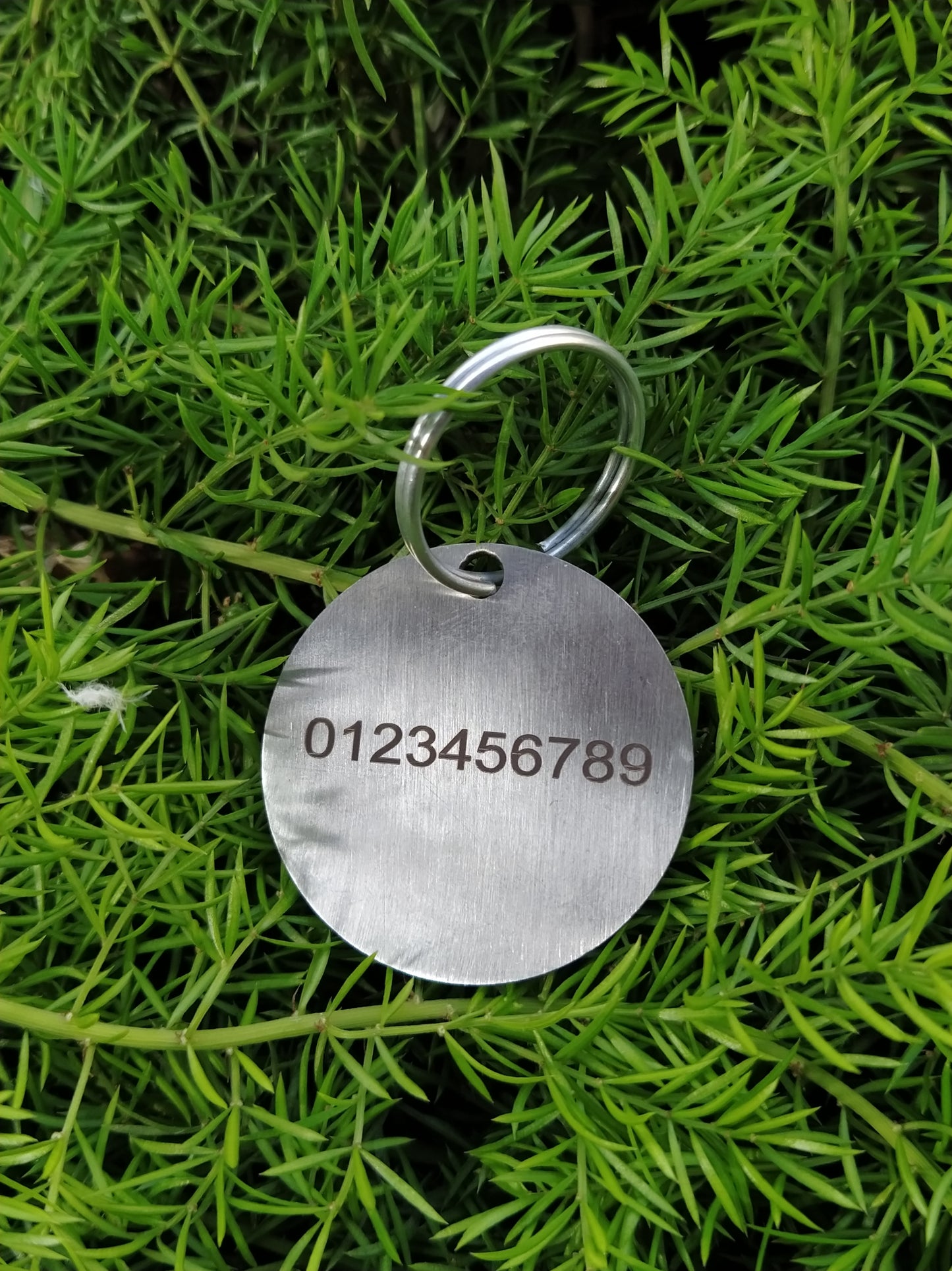 Personalised Pet Name Tag - Round
