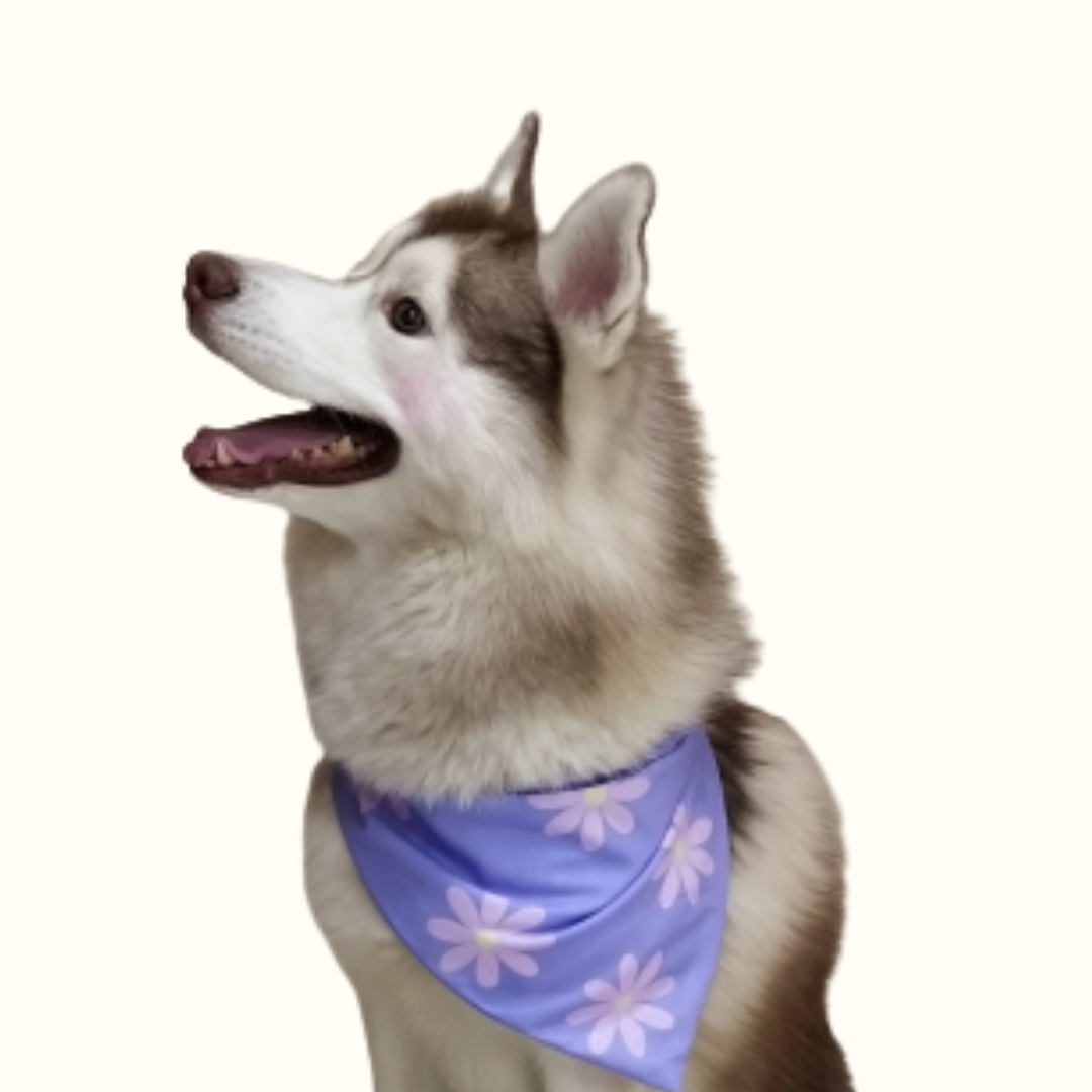 Petal Perfection Bandana
