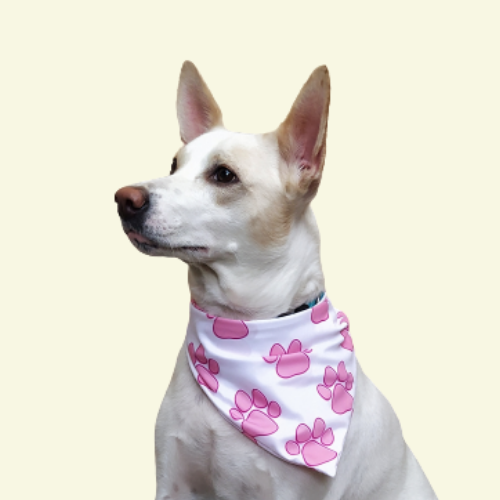 Pretty in Pink Paws Bandana