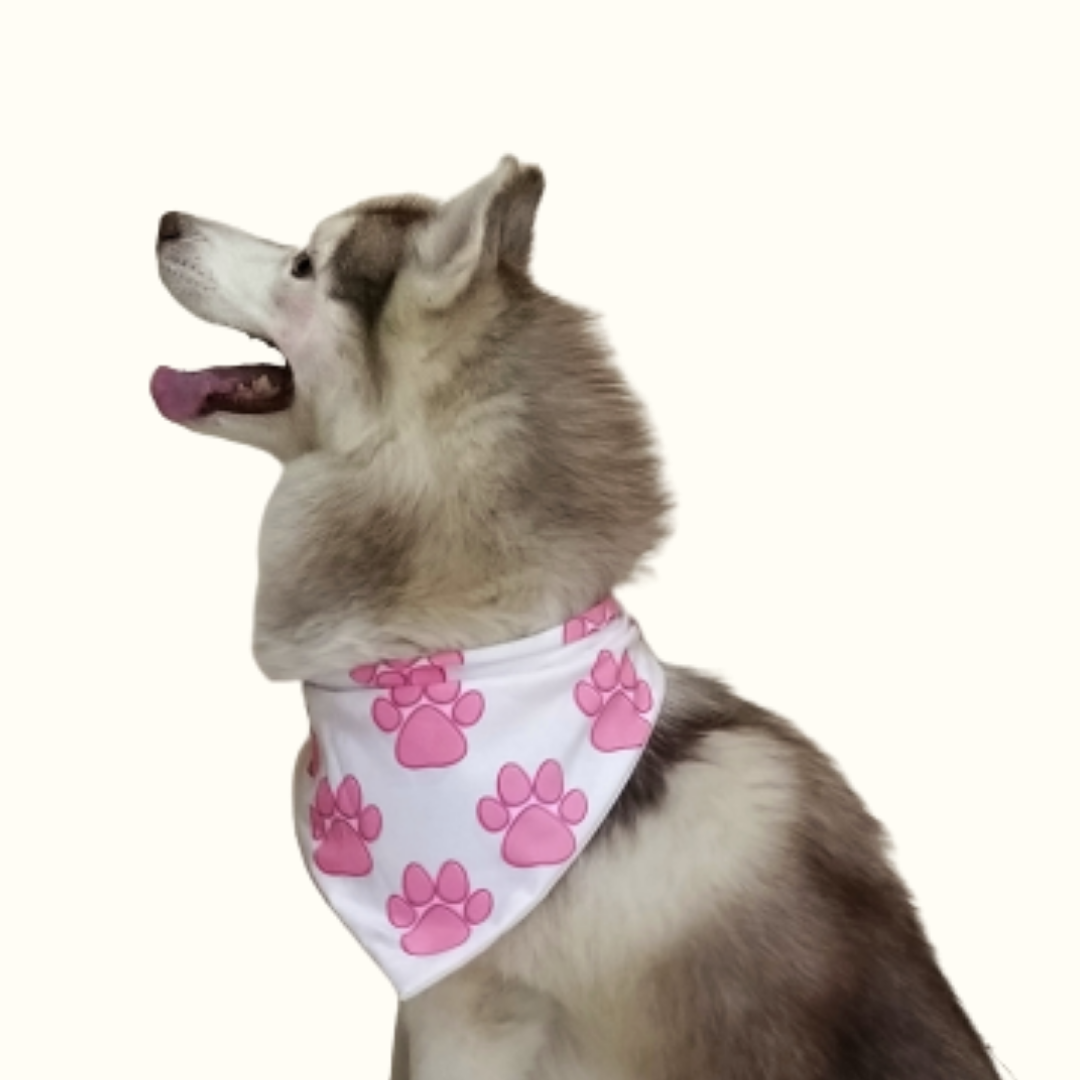 Pretty in Pink Paws Bandana