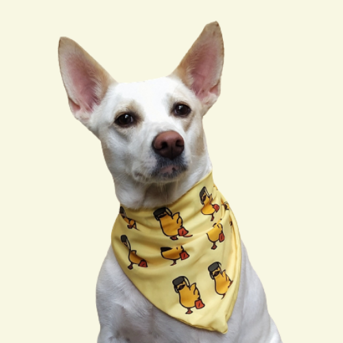 Quacktastic Bandana