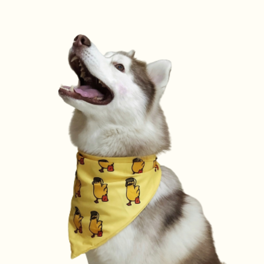Quacktastic Bandana