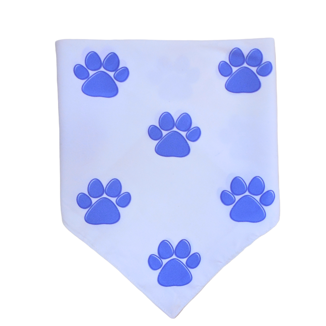 Pretty in Blue Paws Bandana