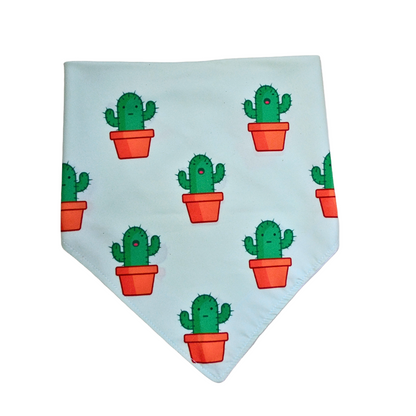 Cactus Cutie Bandana