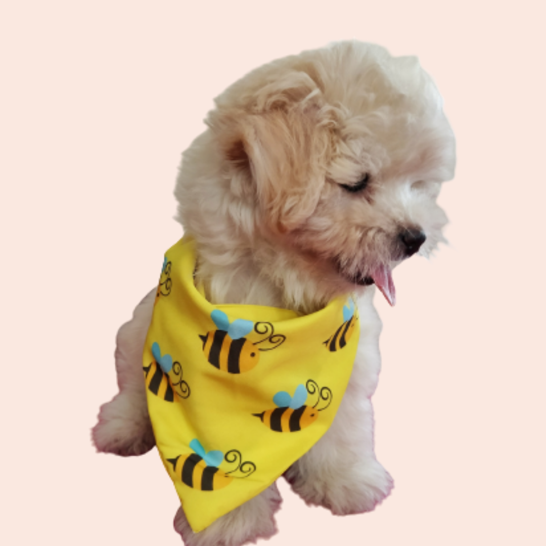 Buzzy Bee Bandana