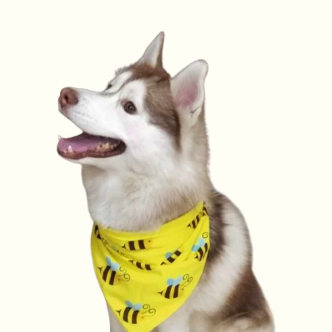 Buzzy Bee Bandana