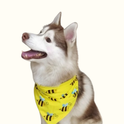 Buzzy Bee Bandana