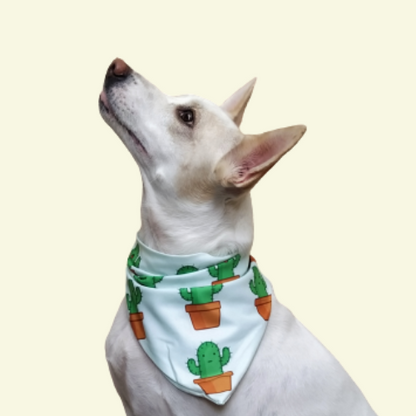 Cactus Cutie Bandana
