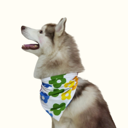 Color Burst Bandana