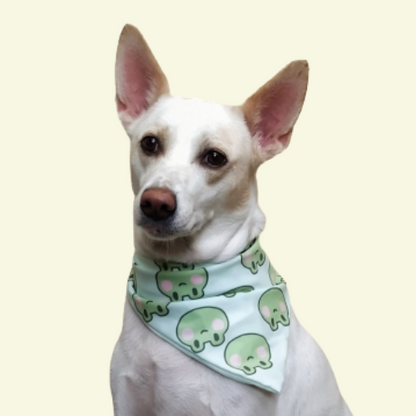 Frogtastic Pet Bandana
