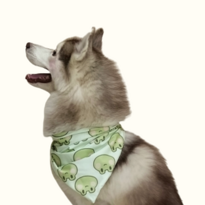 Frogtastic Pet Bandana