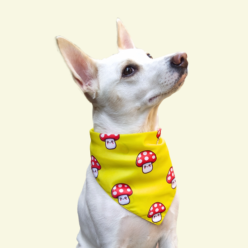 Sunshine Shroom Bandana
