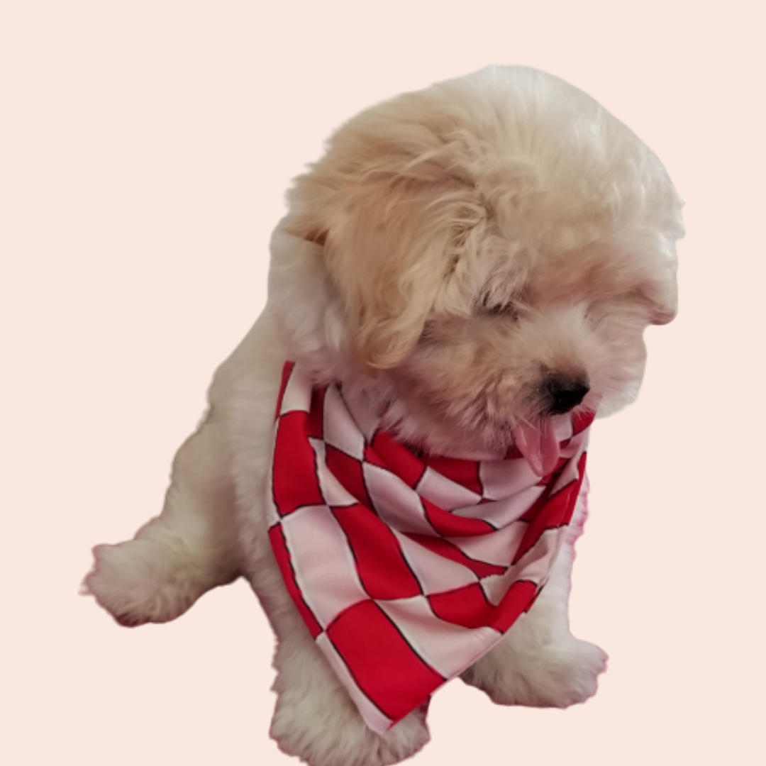 Swirly Red Check Bandana
