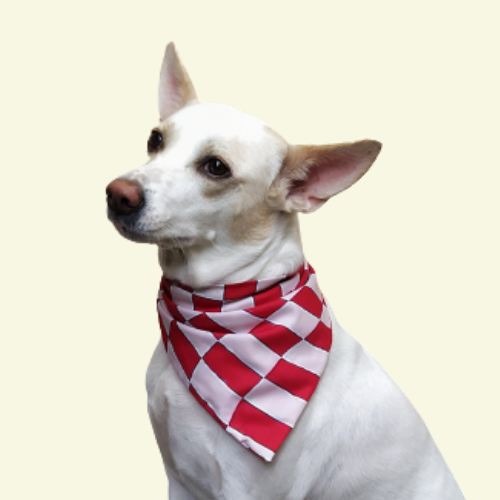 Swirly Red Check Bandana