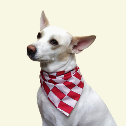 Swirly Red Check Bandana