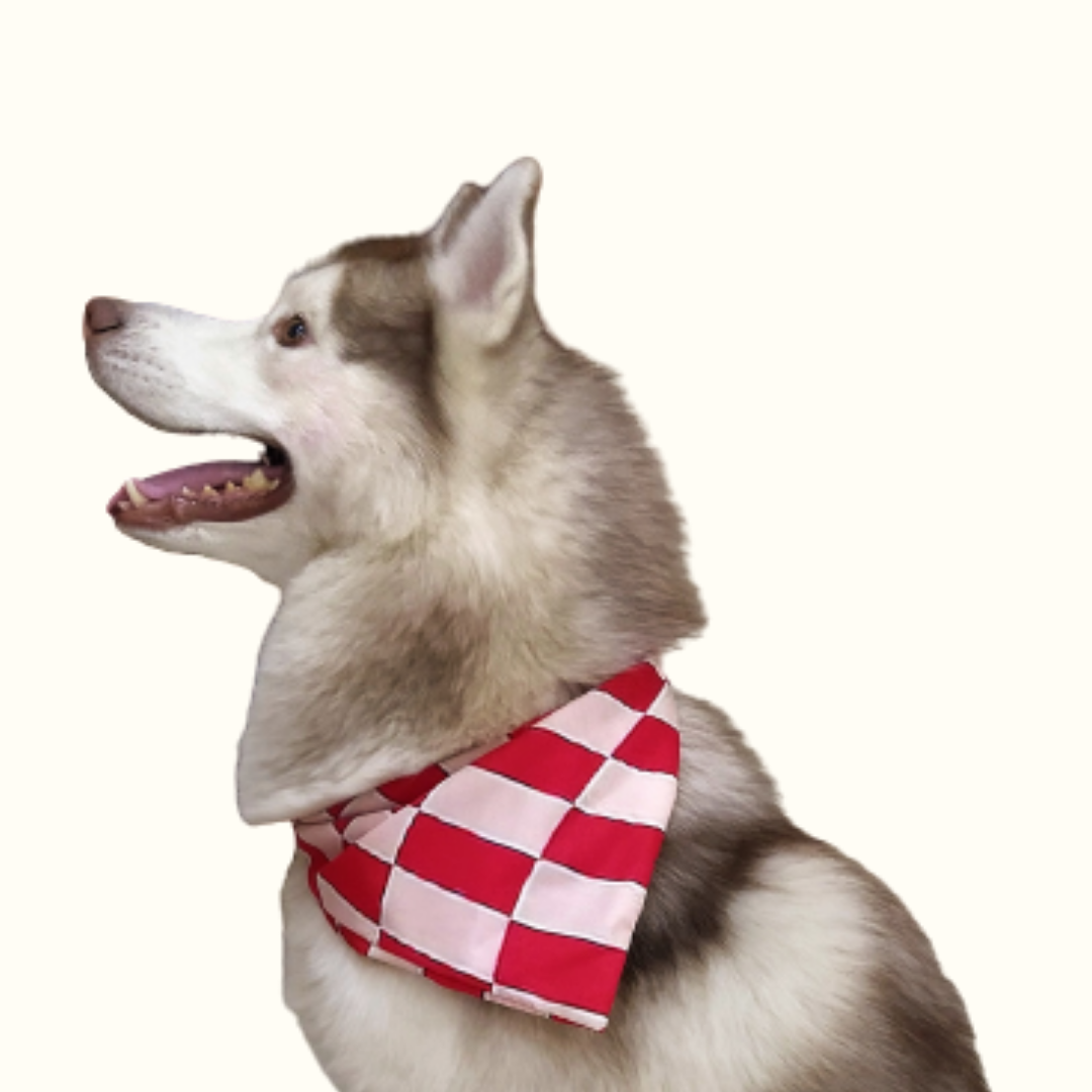 Swirly Red Check Bandana